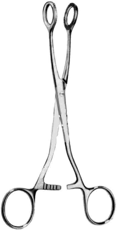 COLLIN FORSEPS 19CM